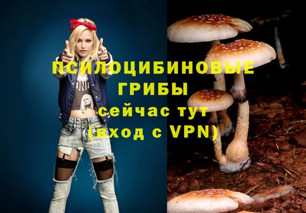 таблы Алексеевка