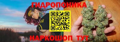 2c-b Кунгур