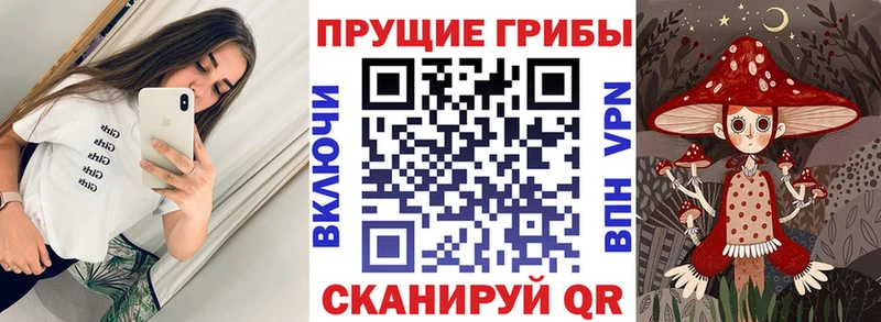 что такое наркотик  shop формула  Псилоцибиновые грибы ЛСД  Казань 