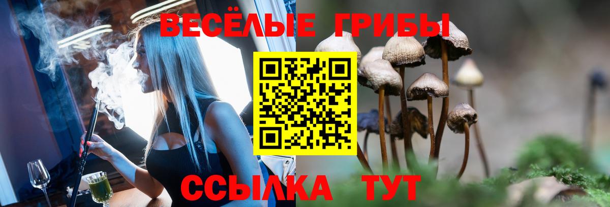 Псилоцибиновые грибы мицелий  Вход с VPN  Казань 